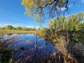 Vos 5 Km Nuo Utenos Miesto, Antakalnių Kaime, - nuotraukos Nr. 12