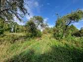 Vos 5 Km Nuo Utenos Miesto, Antakalnių Kaime, - nuotraukos Nr. 15