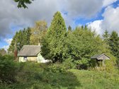 Parduodamas jaukus vienkiemis medžių, kalvų - nuotraukos Nr. 5