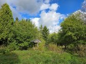 Parduodamas jaukus vienkiemis medžių, kalvų - nuotraukos Nr. 8