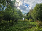 Parduodamas jaukus vienkiemis medžių, kalvų - nuotraukos Nr. 10