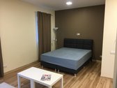 Išnuomojamas šviesus ir erdvus 1 kambario - nuotraukos Nr. 3