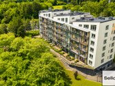  – Nt ekspertai be procentų - nuotraukos Nr. 2