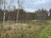 Parduodamas 17,56 žemės ūkio paskirties sklypas: - nuotraukos Nr. 6