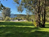 Parduodama tiesiogiai, be brokerių pagalbos – - nuotraukos Nr. 29
