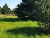Parduodamas labai gražioje vietoje 15 a žemės - nuotraukos Nr. 17