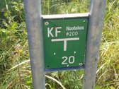 Parduodamas labai gražioje vietoje 15 a žemės - nuotraukos Nr. 21