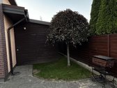 Parduodamas Namas, Klaipėdos r-as, Ginduliai. - nuotraukos Nr. 11