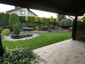 Parduodamas Namas, Klaipėdos r-as, Ginduliai. - nuotraukos Nr. 15