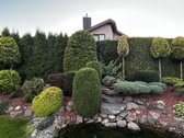 Parduodamas Namas, Klaipėdos r-as, Ginduliai. - nuotraukos Nr. 16