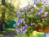 Parduodamas 3 kambarių butas Švenčionių - nuotraukos Nr. 48