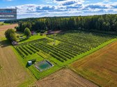 Sodyba, Kur Gamta, Ramybė Ir Jau Veikiantis - nuotraukos Nr. 50