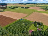 Sodyba, Kur Gamta, Ramybė Ir Jau Veikiantis - nuotraukos Nr. 51