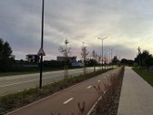 Išnuomojamas kuklus, bet jaukus pilnai - nuotraukos Nr. 35