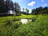 Parduodama rąstinė sodyba su vaizdingu ir - nuotraukos Nr. 11