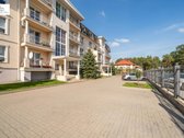 Pušys Už Balkono. Šilti Tonai Viduje. Erdvė - nuotraukos Nr. 35