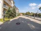 Pušys Už Balkono. Šilti Tonai Viduje. Erdvė - nuotraukos Nr. 33
