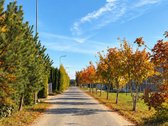 Parduodamas vieno aukšto pilnai įrengtas - nuotraukos Nr. 30