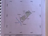 Parduodamas 10,85 ha ploto miškas Utenos raj. - nuotraukos Nr. 8