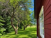 Tvarkinga, Jauki Sodyba Kalvų Ir Miškų - nuotraukos Nr. 7