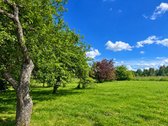 Tvarkinga, Jauki Sodyba Kalvų Ir Miškų - nuotraukos Nr. 24