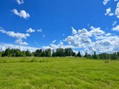 Tvarkinga, Jauki Sodyba Kalvų Ir Miškų - nuotraukos Nr. 25