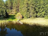 Išskirtinė Sodyba Prie Rašio Ežero – - nuotraukos Nr. 4