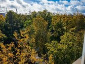 Išnuomojamas erdvus ir išskirtinis 3 kambarių - nuotraukos Nr. 5