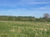 Parduodamas erdvus 30 arų namų valdos sklypas - nuotraukos Nr. 3