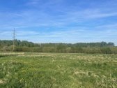 Parduodamas erdvus 30 arų namų valdos sklypas - nuotraukos Nr. 4