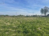 Parduodamas erdvus 30 arų namų valdos sklypas - nuotraukos Nr. 5