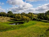 1,17 ha sutvarkytas sklypas poilsio sodybai - nuotraukos Nr. 3