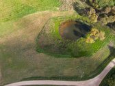 1,17 ha sutvarkytas sklypas poilsio sodybai - nuotraukos Nr. 10