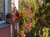 Šviesus 1 Kambario Butas Šiaurės Miestelyje, - nuotraukos Nr. 12