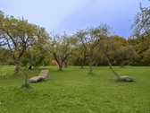 Parduodamas Išskirtinis, Erdvus, Šviesus Ir - nuotraukos Nr. 24
