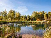 Parduodamas 2 kamb. butas Vyšnių kvartale, - nuotraukos Nr. 28