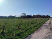 10arų Gulbiniškių Ąžuolų g. 28,30- 15t. - nuotraukos Nr. 10