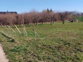 10arų Gulbiniškių Ąžuolų g. 28,30- 15t. - nuotraukos Nr. 11