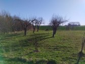 10arų Gulbiniškių Ąžuolų g. 28,30- 15t. - nuotraukos Nr. 12