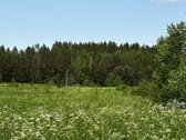  Parduodamas 10,15 ha sklypas su leidimu - nuotraukos Nr. 3