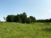  Parduodamas 10,15 ha sklypas su leidimu - nuotraukos Nr. 4
