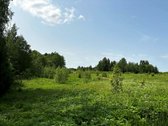  Parduodamas 10,15 ha sklypas su leidimu - nuotraukos Nr. 5