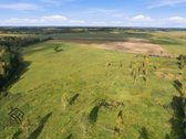 Parduodamas 26.8400 Ha Žemės Ūkio Paskirties - nuotraukos Nr. 3