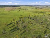Parduodamas 26.8400 Ha Žemės Ūkio Paskirties - nuotraukos Nr. 5