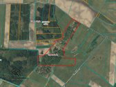 Parduodamas 26.8400 Ha Žemės Ūkio Paskirties - nuotraukos Nr. 6