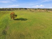 Parduodamas 26.8400 Ha Žemės Ūkio Paskirties - nuotraukos Nr. 11