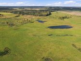 Parduodamas 26.8400 Ha Žemės Ūkio Paskirties - nuotraukos Nr. 14