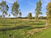 Parduodamas 26.8400 Ha Žemės Ūkio Paskirties - nuotraukos Nr. 18