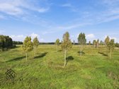 Parduodamas 26.8400 Ha Žemės Ūkio Paskirties - nuotraukos Nr. 19