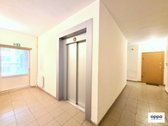 Išnuomojamas 2 kambarių šviesus, jaukus butas - nuotraukos Nr. 27